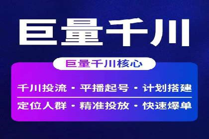 成功运用SEM技术提升网站流量的案例研究